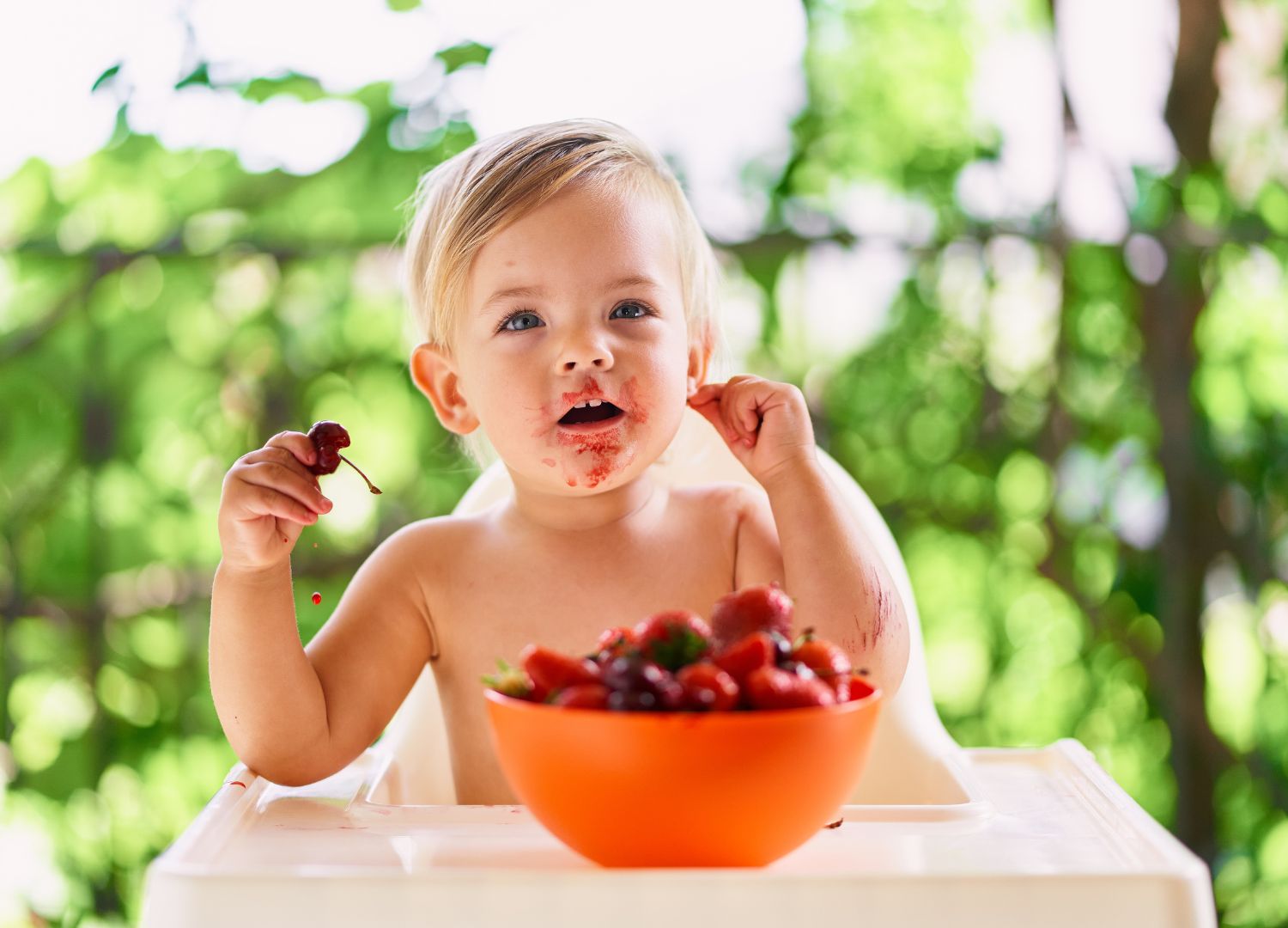 toddler-nutrition